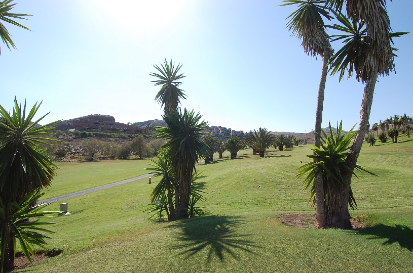 Gran Canaria Villa Los Lagos - 08