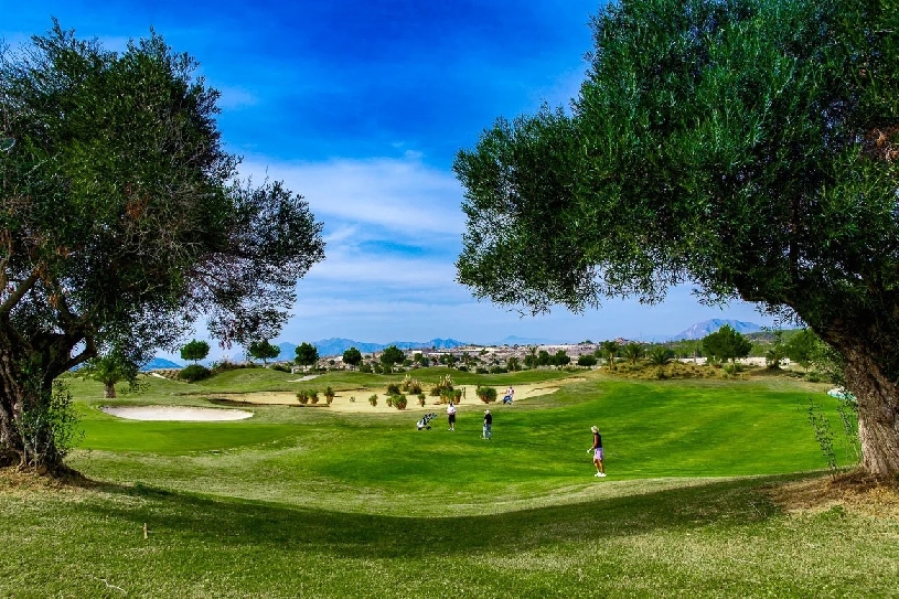 Alicante Vistabella Golf Golfimmobilie - 05