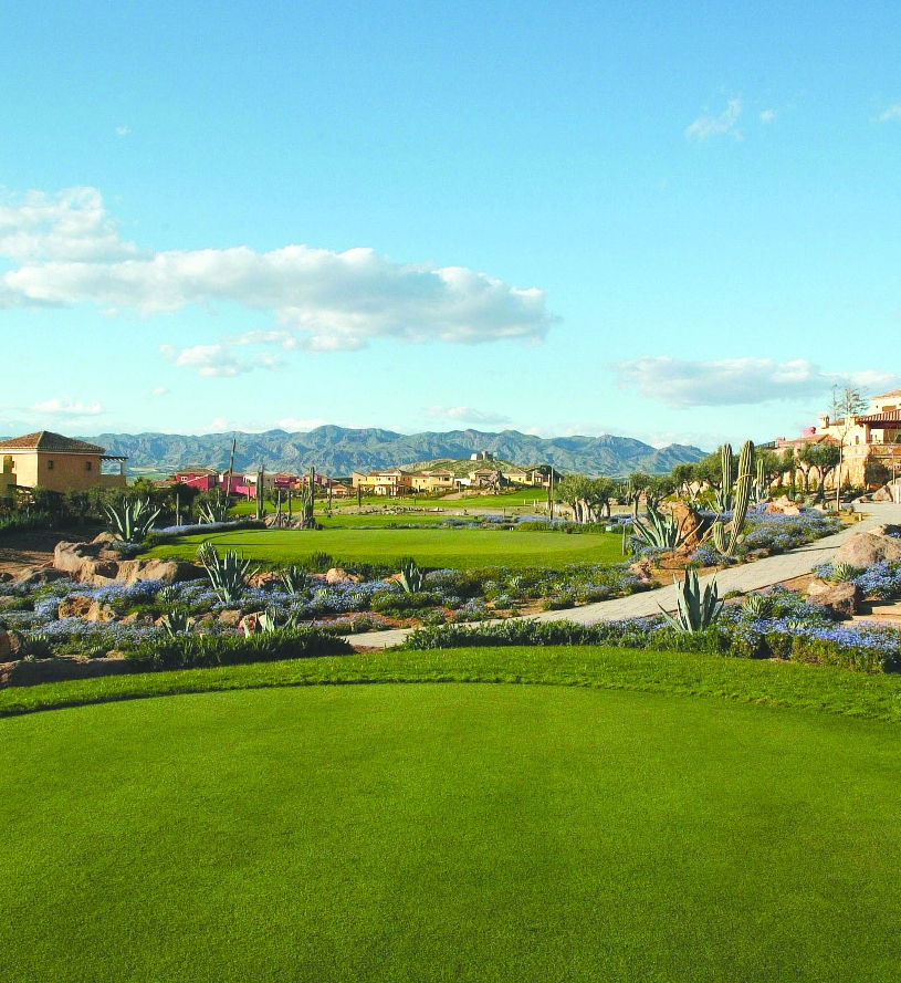 Desert Springs Almanzora Villa Vista 3 SZ - 11