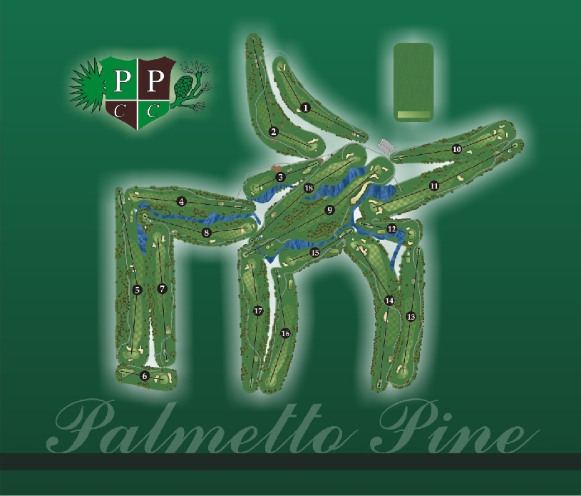 Florida Cape Coral Palmetto Pine Golf Villa - 14