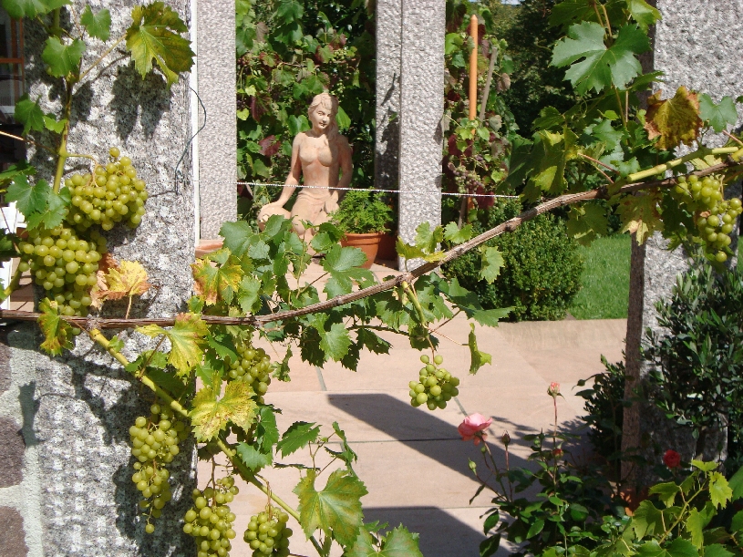 Bodensee Golfappartement  - 06