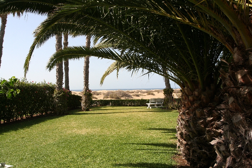 Gran Canaria Maspalomas Golf Bungalow 1 SZ + AZ - 12