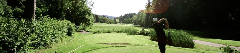 Österreich Wörtersee Velden Golfvilla mit Pool - 13