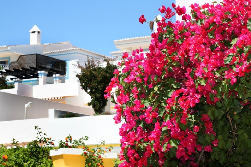 Quinta do Lago Golf Apartment 2 SZ + Jacuzzi - 01