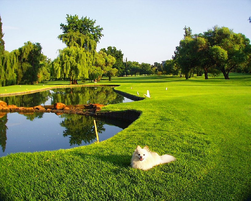 THE FAIRWAY Golf Garden Villa  - 13